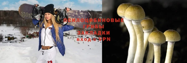 наркотики Алексин